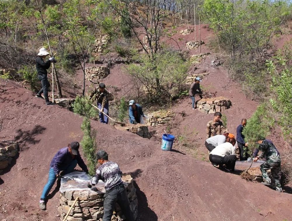 实施太行山绿化,天然林保护,退耕还林及全民义务植树等一批重点工程