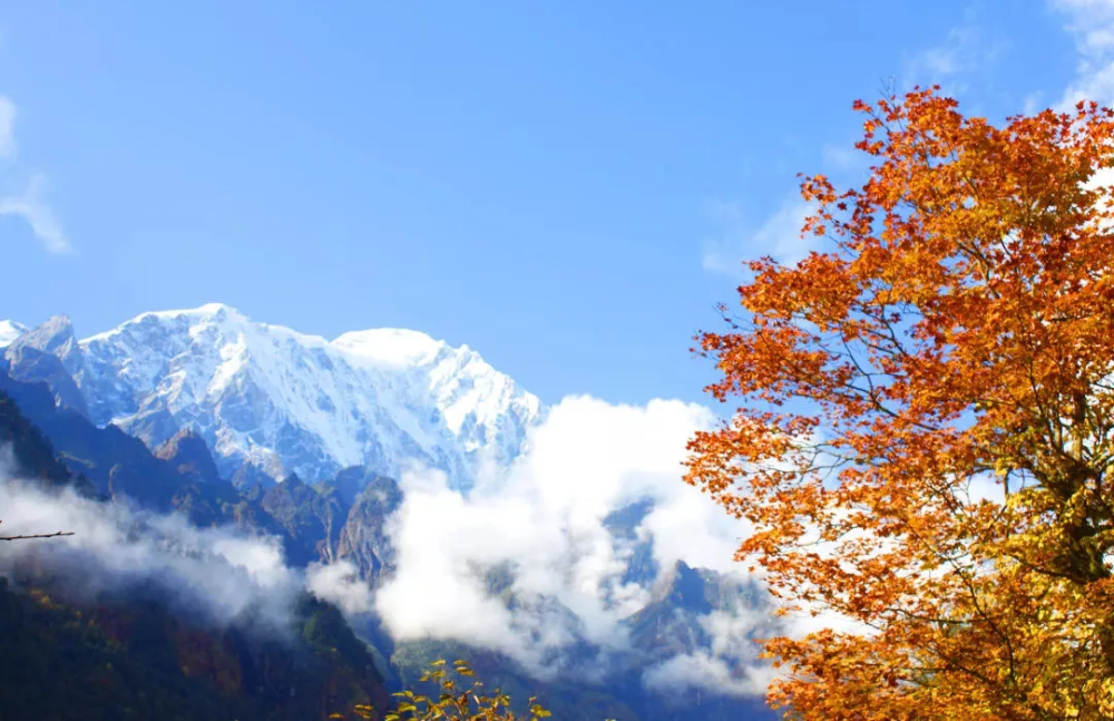 燕子溝 10月中旬過後,視線所及除了雪山就是彩林,坐上景區的車,曳路