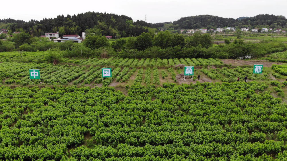 乡村振兴战略|第四届乐至田园诗会10月25日举行 川渝诗坛大咖共聚一堂