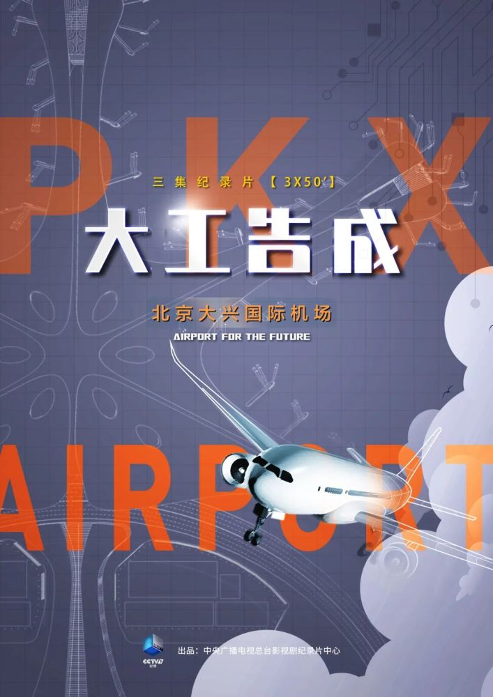 中国传媒大学|纪录片《大工告成——北京大兴国际机场》学术研讨会在京举行