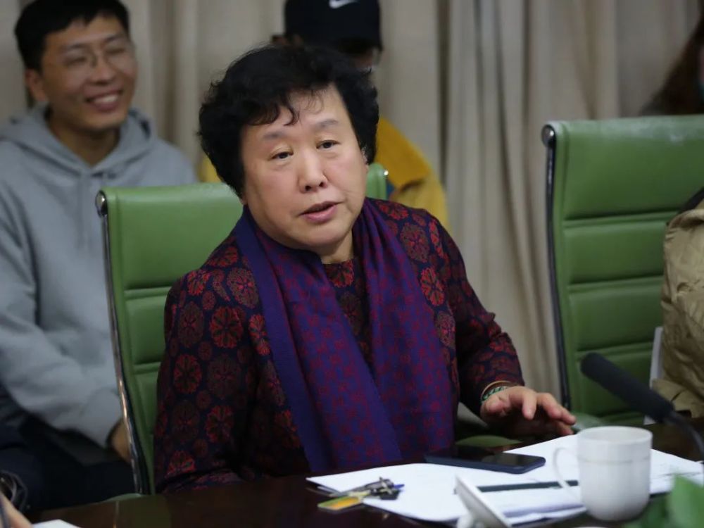 中国传媒大学|纪录片《大工告成——北京大兴国际机场》学术研讨会在京举行