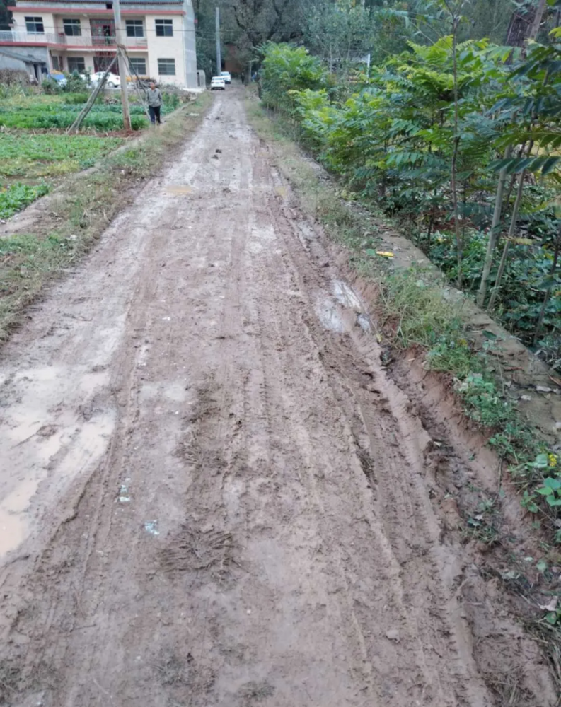 洛南网友爆料:为啥村里的泥泞道路没有硬化?是什么原因?