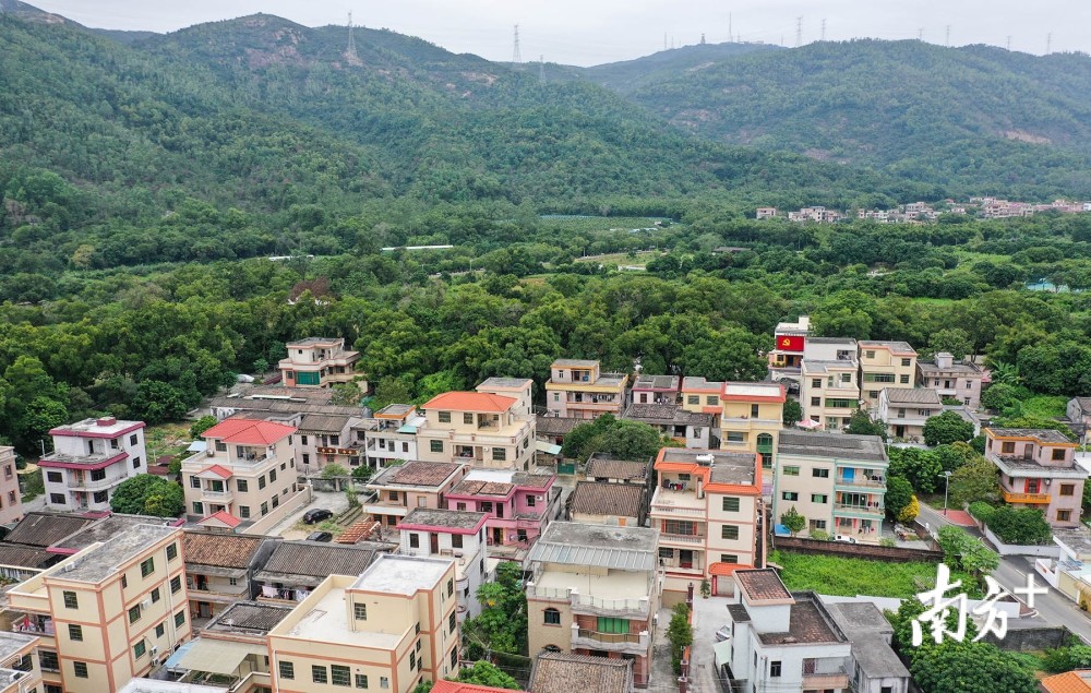 南朗镇翠亨村内,村民在田地里劳作,这里有诗意田园般的景色.