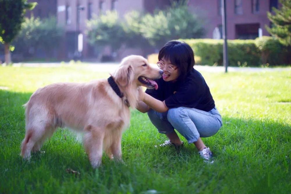 脱口秀段子_段子来了羞羞版文字_脱口秀大会第三季段子文字版