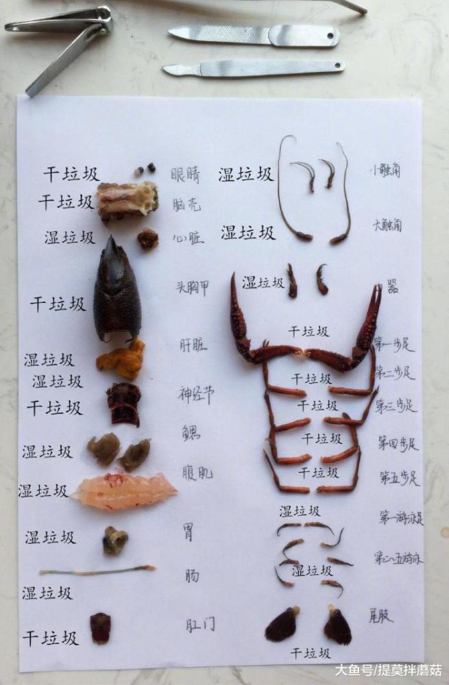 "看完这篇作文我只有满头问号"哈哈哈……写了个寂寞