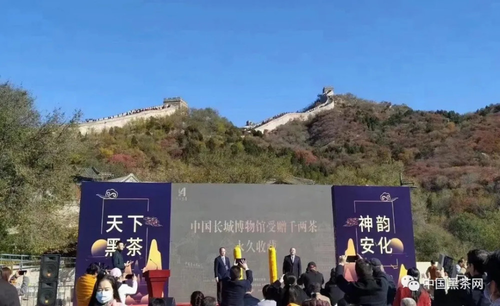 北京八达岭长城|黑茶进京 C位亮相—北京八达岭长城见证白沙溪馆藏千两的高光时刻