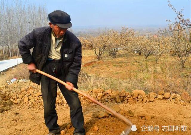 颐和园|北京老农粪坑里捞出一对西瓜，选择无偿上交国家，如今价值6个亿