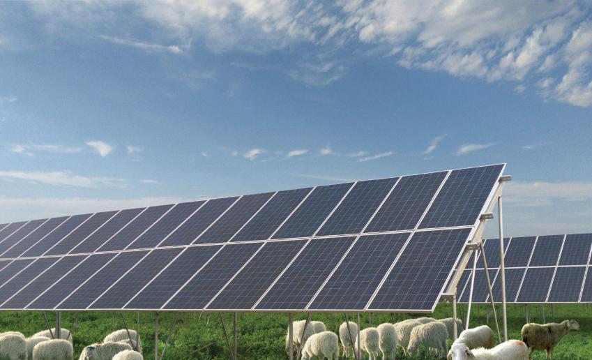 荷兰|一年净赚2400亿！荷兰不光只有光刻机，在这方面的实力仅次于美国