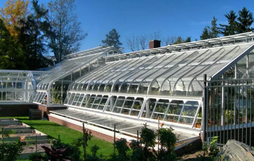 荷兰|一年净赚2400亿！荷兰不光只有光刻机，在这方面的实力仅次于美国