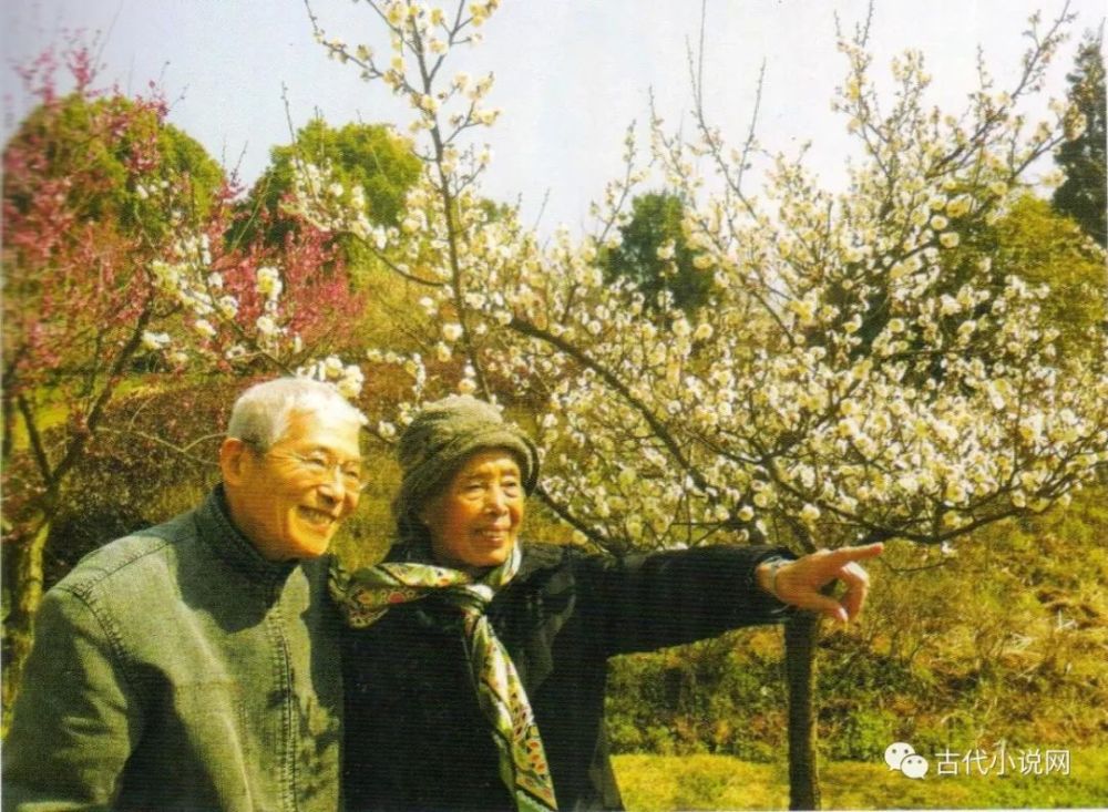 吴翠芬|新书推介｜胡小石：《楚辞专论》