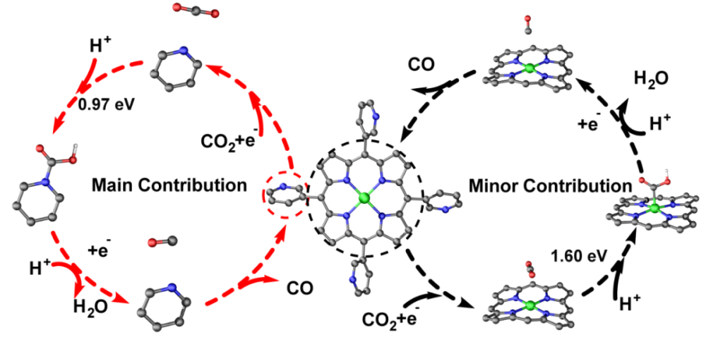 超分子|【NSR论文导读】稳定的晶态超分子结构体系用于CO2电还原活性“甄别”