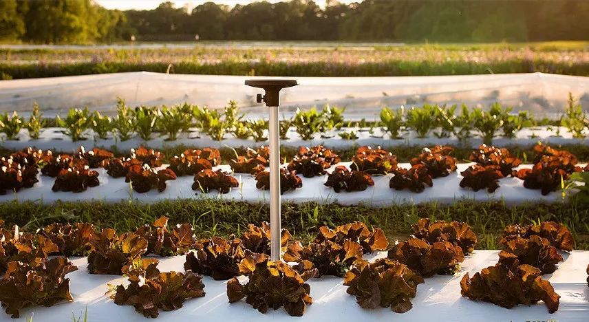 美国国家科学院|都是关键核心技术！美国科学院公布：未来农业发展的五大方向