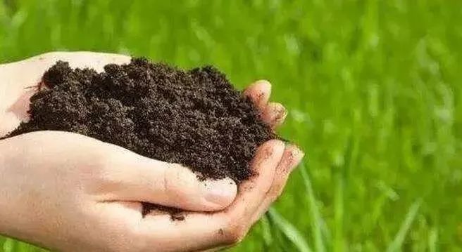 美国国家科学院|都是关键核心技术！美国科学院公布：未来农业发展的五大方向