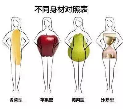 女性身材类型四种图片