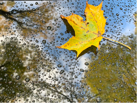 报告文学|从报告文学到非虚构写作，历史的沉重感为何消失了？