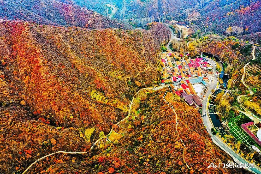 西达|叠翠流金！门头沟这里的满山红叶等你来