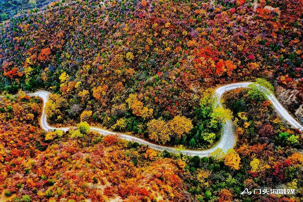 西达|叠翠流金！门头沟这里的满山红叶等你来