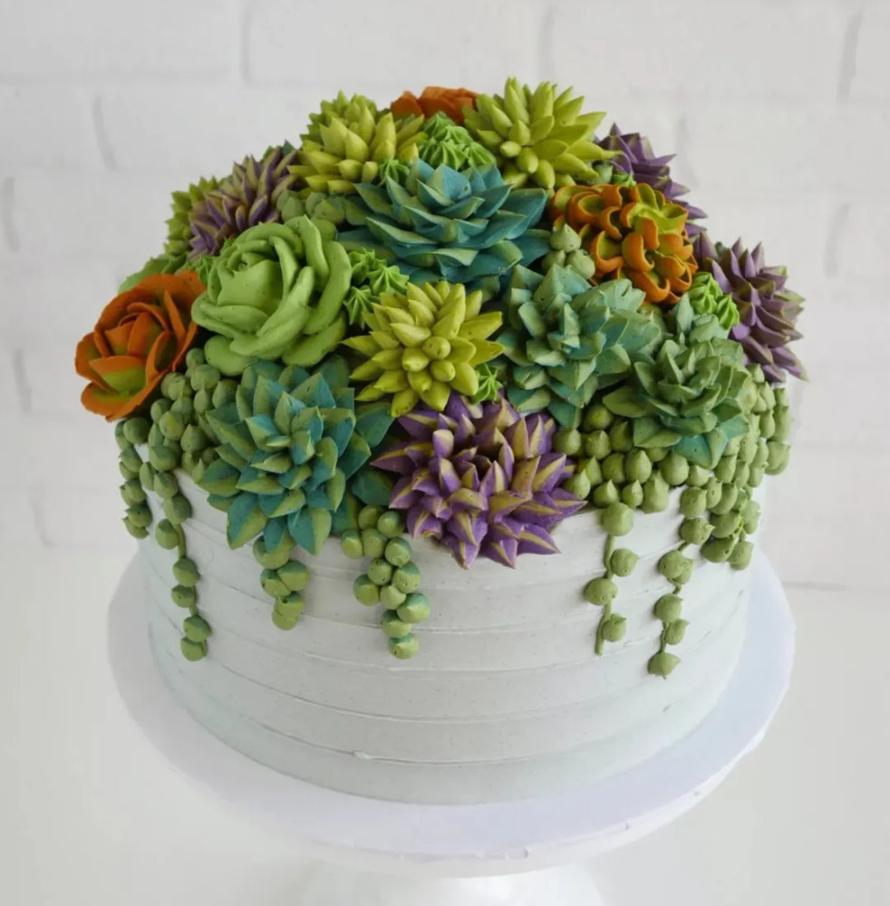 以假乱真的多肉颜值高又美味,原来生日蛋糕自己在家就能做!_腾讯新闻