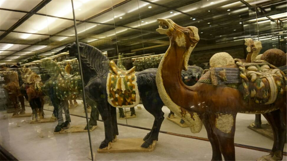 赵泰来|姨妈去世留给他一张藏宝图，他找到地窖，挖出价值8亿的中国珍宝