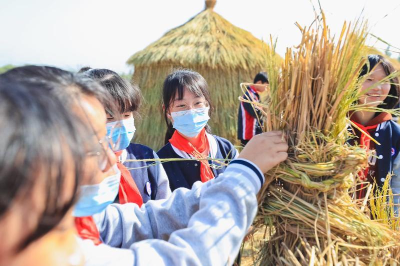 钢琴师|亲子互动割稻、麦浪里的钢琴师…假日来上海这个“艺术”村打卡拍照