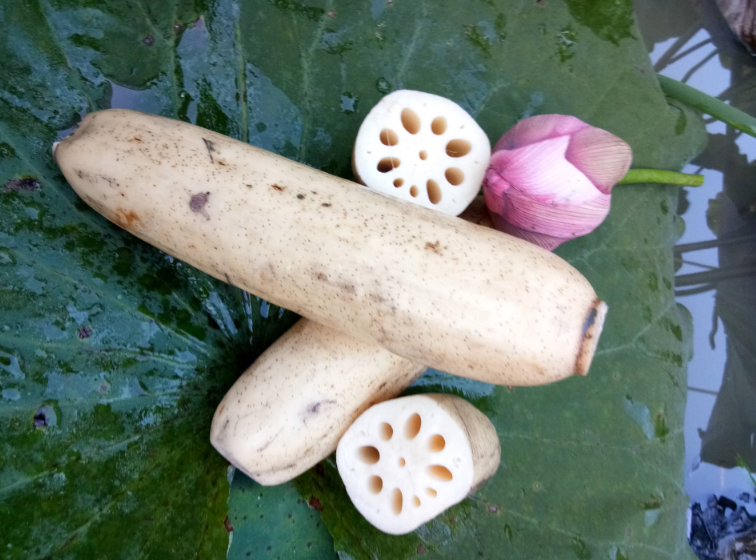 买莲藕,怎么分辨"脆藕"和"面藕"?藕农:看3点买不错,实用