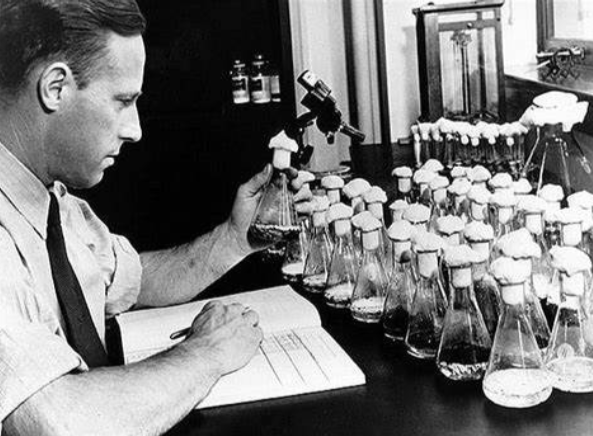 青霉素|二战期间被称为“万能神药”，盘尼西林到底有何神奇之处？