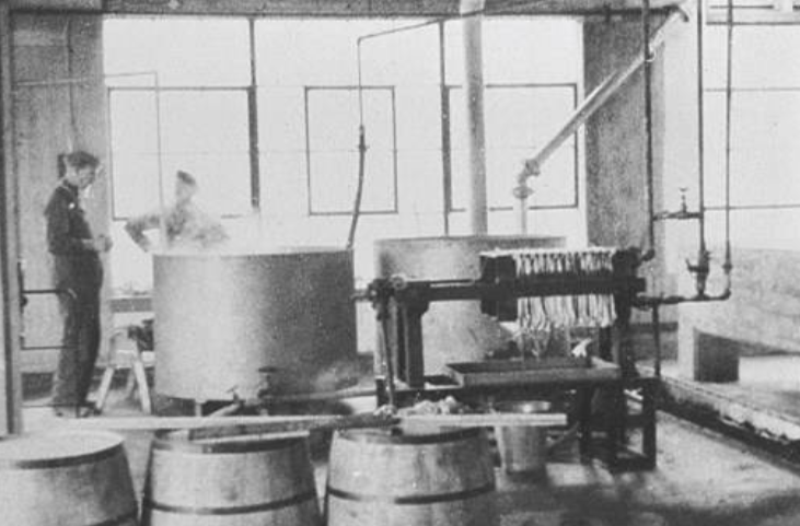 青霉素|二战期间被称为“万能神药”，盘尼西林到底有何神奇之处？