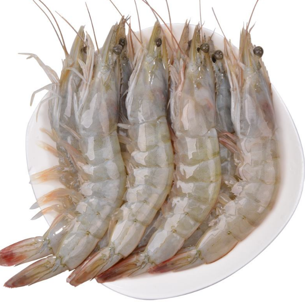 买大虾,如何区分海捕的和养殖的?渔民:看5点,不会买到假海虾_腾讯新闻