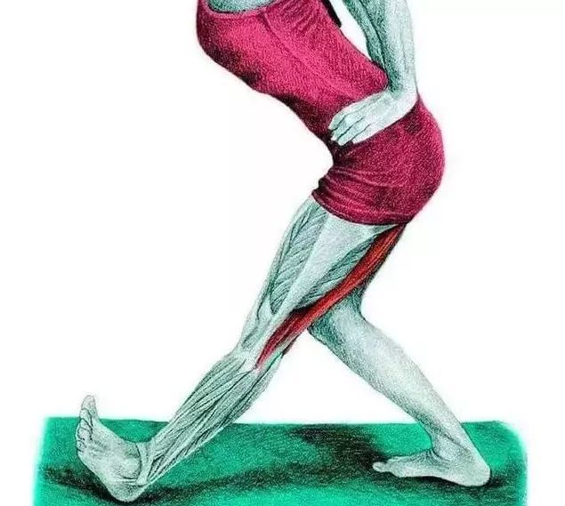 图解|22个腿部拉伸大全!预防腿粗!缓解酸疼!