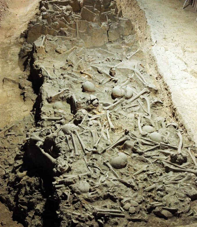 山西农民拿挖出的白骨做肥料,专家:此乃白起坑杀40万士兵的尸骨_腾讯