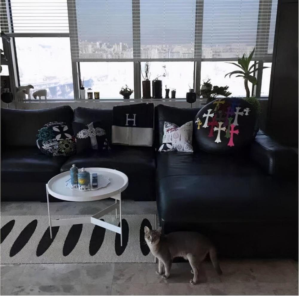 韩国"时尚天王"权志龙,花90亿韩元的豪宅,装修极尽奢华