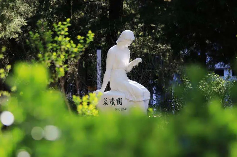 录取分数线|被称为外交官摇篮，北京外国语大学2020年本科录取分数线发布