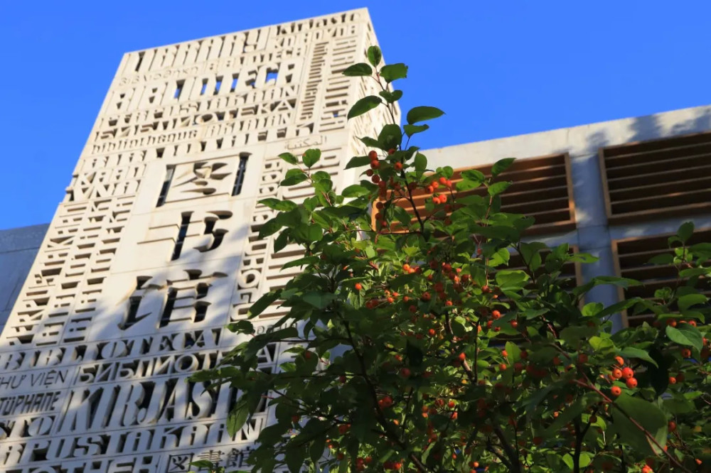 录取分数线|被称为外交官摇篮，北京外国语大学2020年本科录取分数线发布