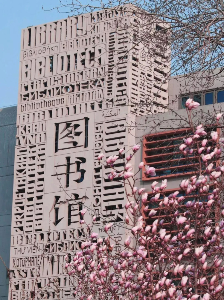 录取分数线|被称为外交官摇篮，北京外国语大学2020年本科录取分数线发布