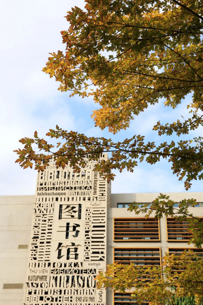 录取分数线|被称为外交官摇篮，北京外国语大学2020年本科录取分数线发布