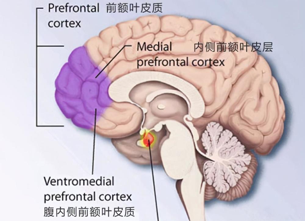 想看孩子是否有"福气",除了观察"面相"特点,还有3个条件