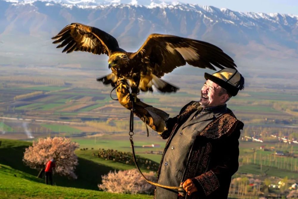 老人|袅袅夕阳情｜“久久”重阳“画”老人