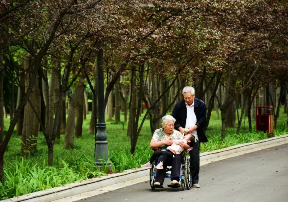 老人|袅袅夕阳情｜“久久”重阳“画”老人