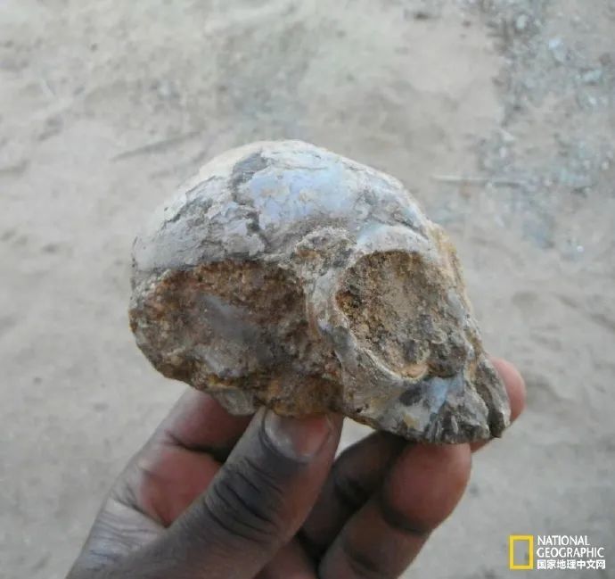 卢克·天行者|这“泼猴”敏捷值满格，但躲不过濒危