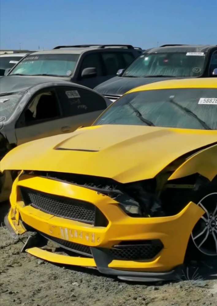 法拉利,保时捷等众多豪车让你眼花缭乱,豪横的迪拜废车场_腾讯新闻