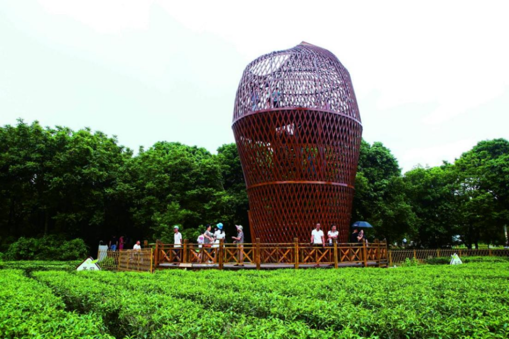 实力圈粉的海丰莲花山网红景点长啥样