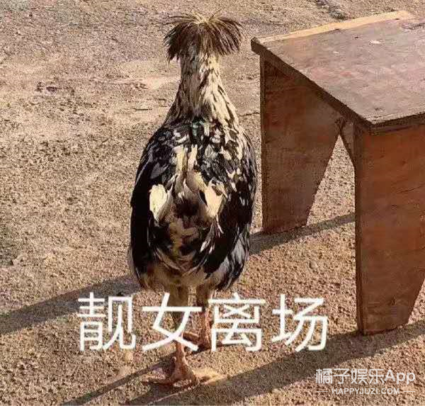 elie saab|闹笑话的不止她一个？