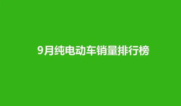 2020电动车排行图片