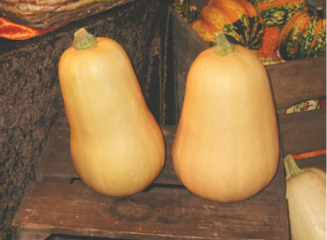 说岳全传|从金银铜大锤到轧油铁锤，《说岳全传》中“四猛八大锤”到底啥样？