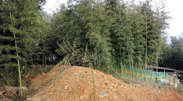 对联|流传多年的4副对联，既然能够传世，自然水平不俗