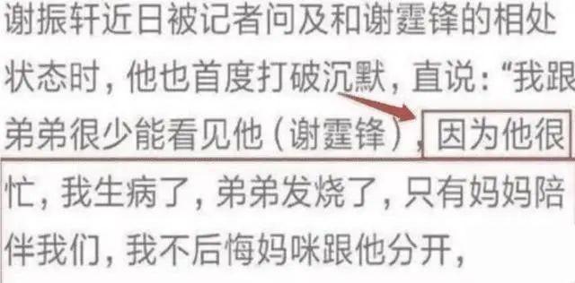 张柏芝|张柏芝三胎儿子生活照曝光，谢振轩颇有哥哥范，对小王子十分照顾