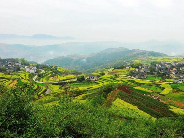 安徽一山村走出60名博士硕士是当地有名的博士村