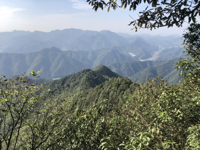 杭州富阳姆岑山,树叶和木棍铺就的一条天然步道