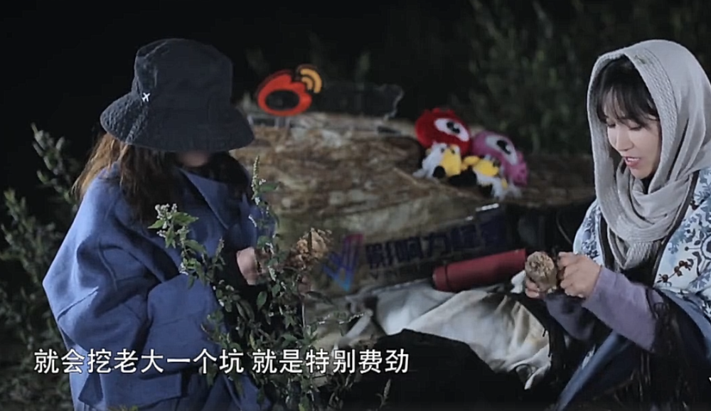 李子柒|30岁李子柒首曝择偶标准，这一点要求看似玩笑，实则才是重中之重