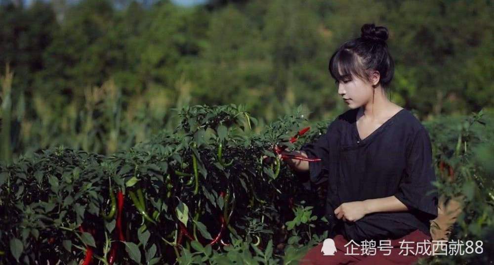 李子柒|30岁李子柒首曝择偶标准，这一点要求看似玩笑，实则才是重中之重